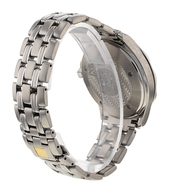 Omega Seamaster GMT 2534.50.00 Image 3